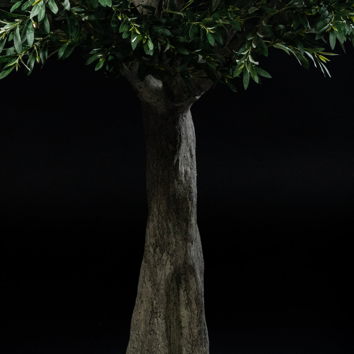 Arbre Japonais Olivier — vue de face, détail feuillage et tronc du bonsaï artificiel réaliste
