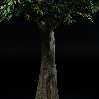 Arbre Japonais Olivier — vue de face, détail feuillage et tronc du bonsaï artificiel réaliste