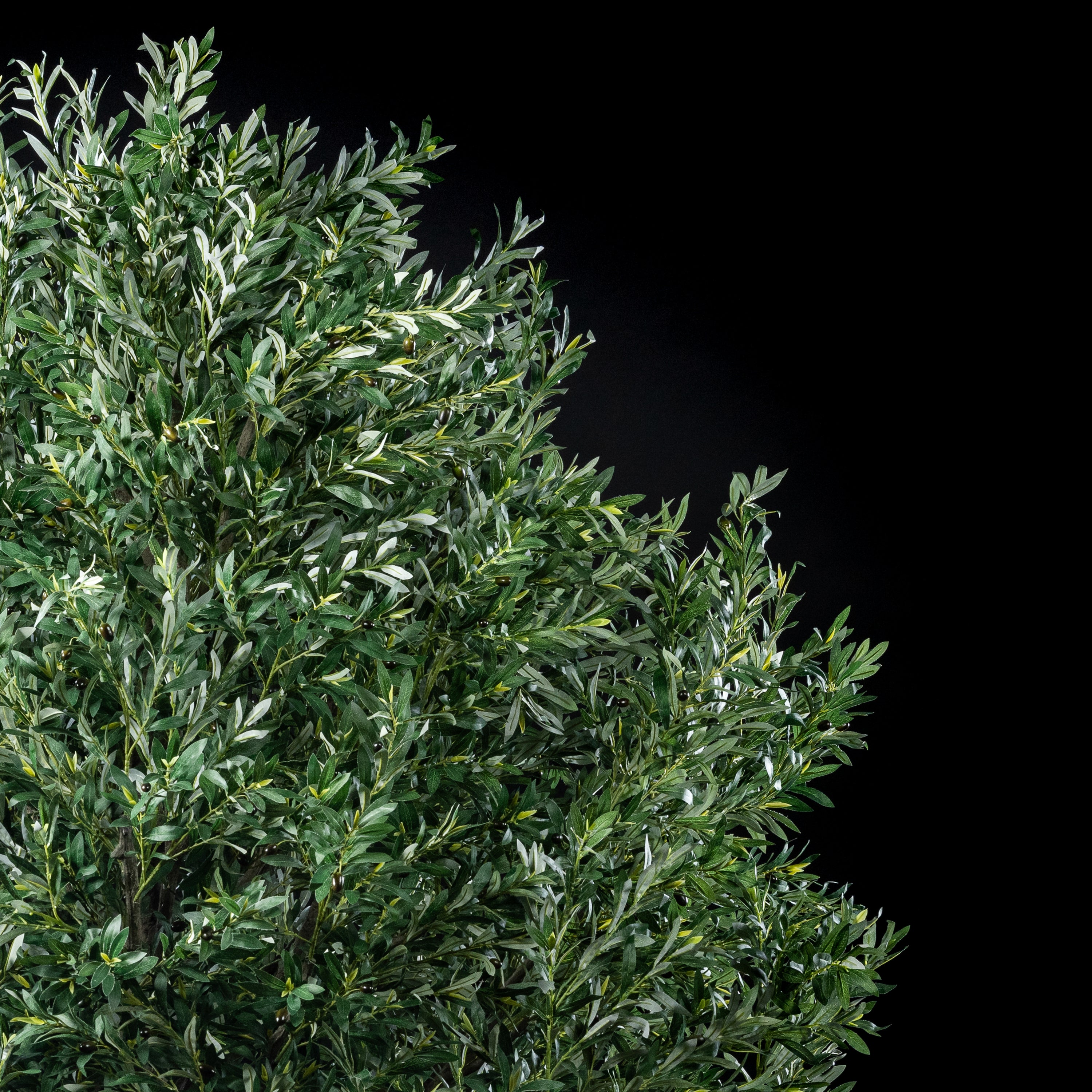 Arbre Japonais Olivier — bonsaï artificiel haut de gamme et réaliste, arbre miniature japonais d&