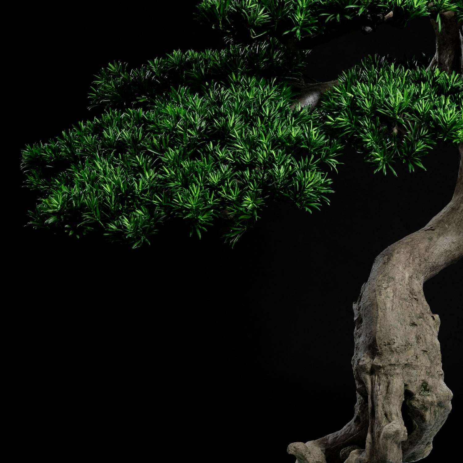 Arbre japonais artificiel Pin nuage 180 cm — détail feuillage réaliste, sans entretien
