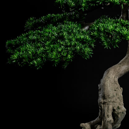 Arbre japonais artificiel Pin nuage 180 cm — détail feuillage réaliste, sans entretien