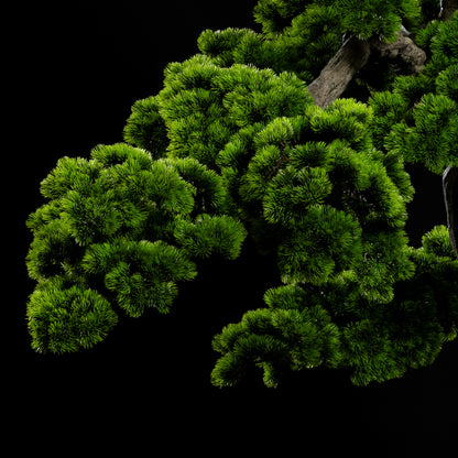 Arbre japonais artificiel Pin nuage 205 cm — détail feuillage réaliste, sans entretien