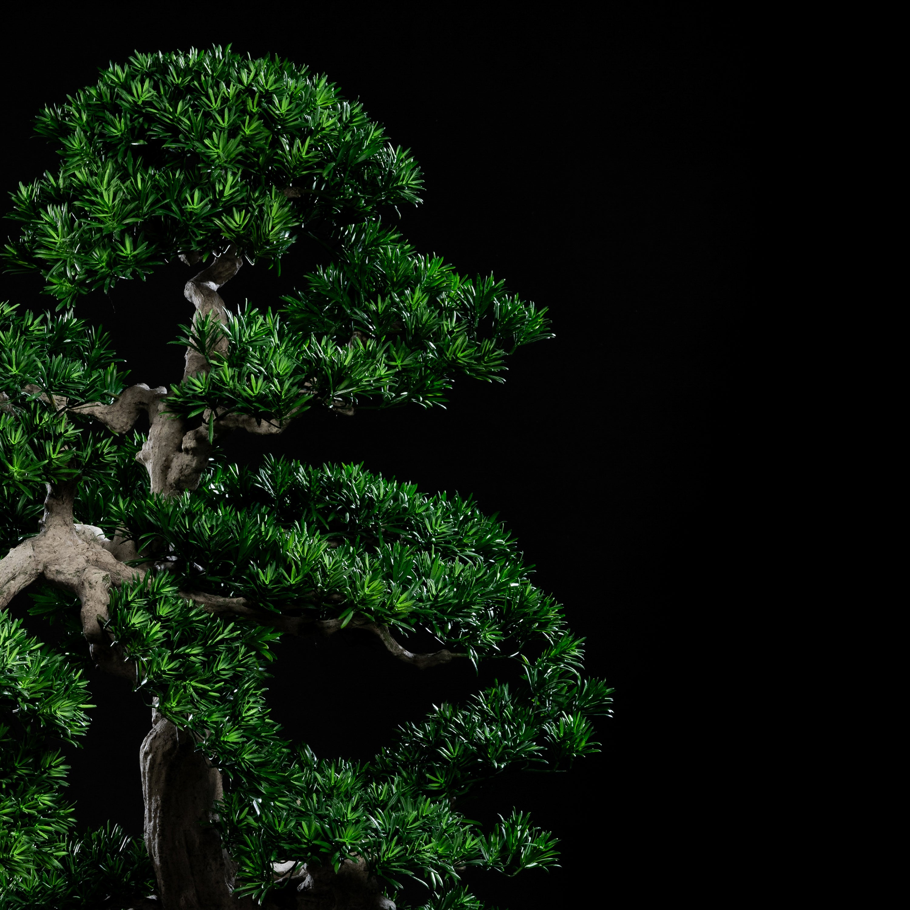 Arbre japonais artificiel Pin nuage 205 cm Galan GA — déco intérieur réaliste sans entretien