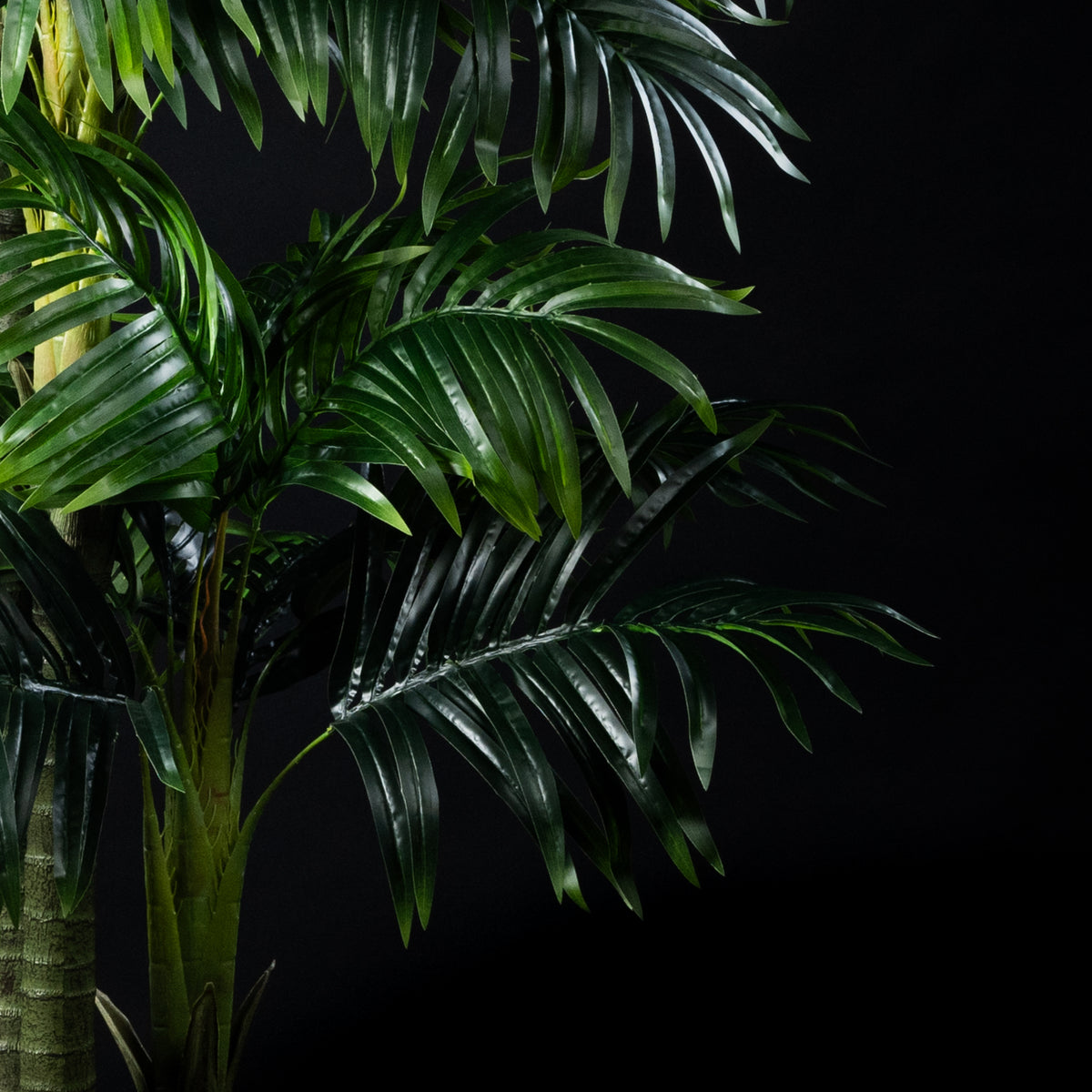 Palmier artificiel Areca Catechu 250 cm — détail feuillage réaliste, sans entretien