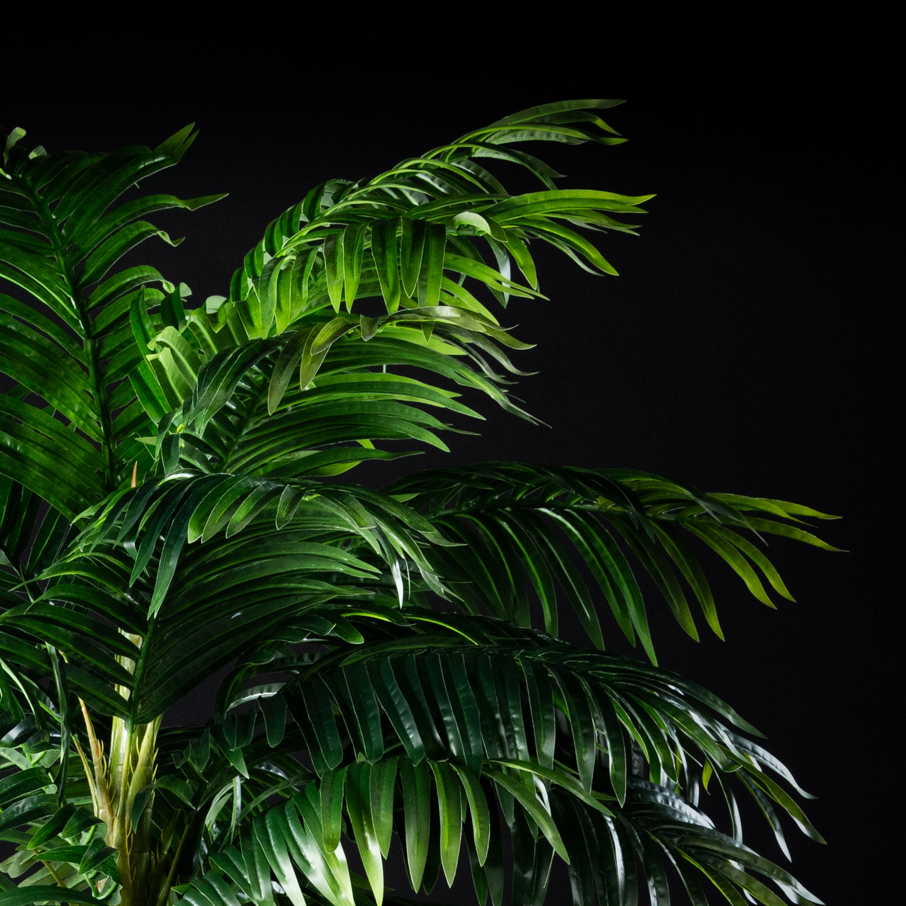 Palmier artificiel Areca Catechu 250 cm Galan GA — déco intérieur réaliste sans entretien
