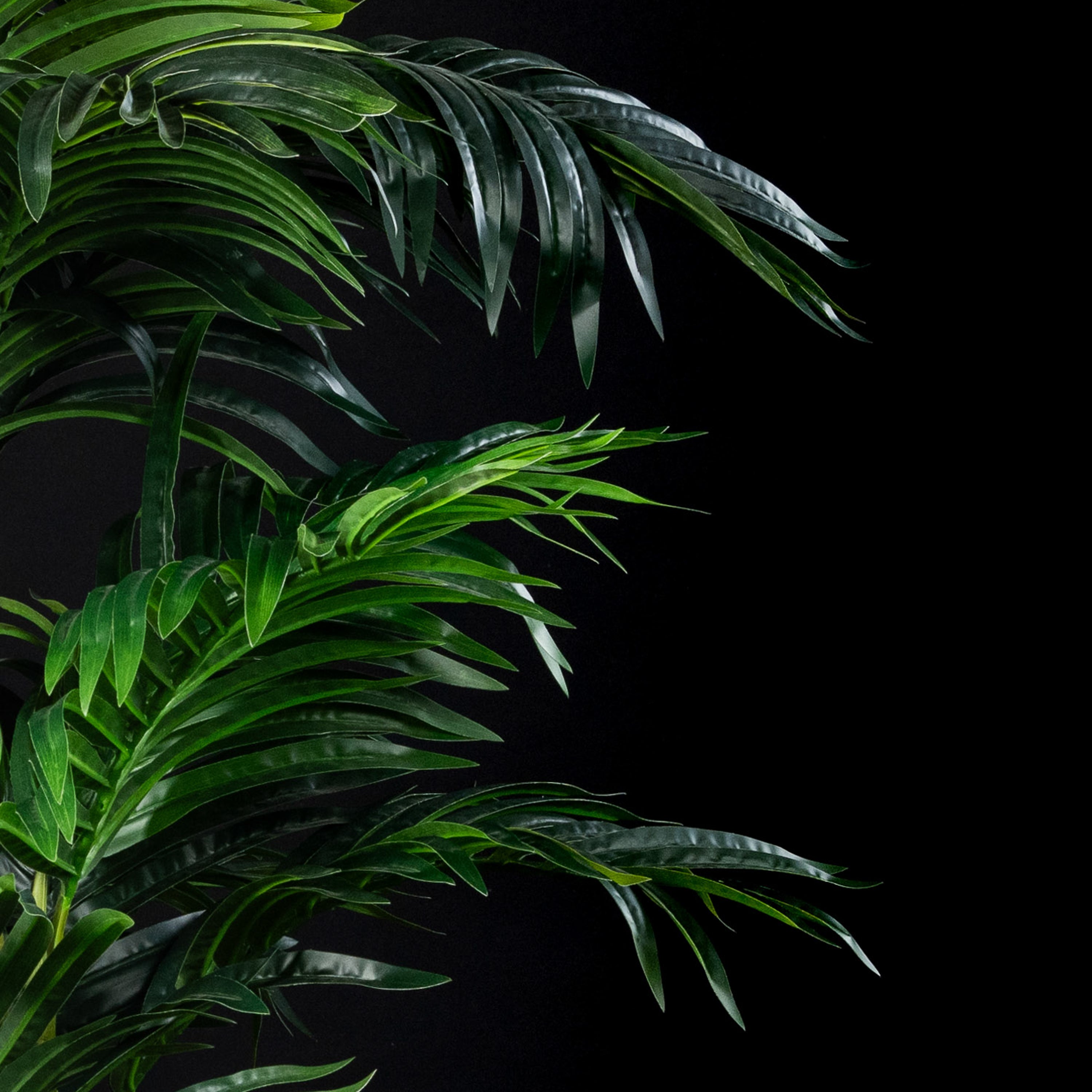 Palmier artificiel Areca Concinna 170 cm Galan GA — déco intérieur réaliste sans entretien