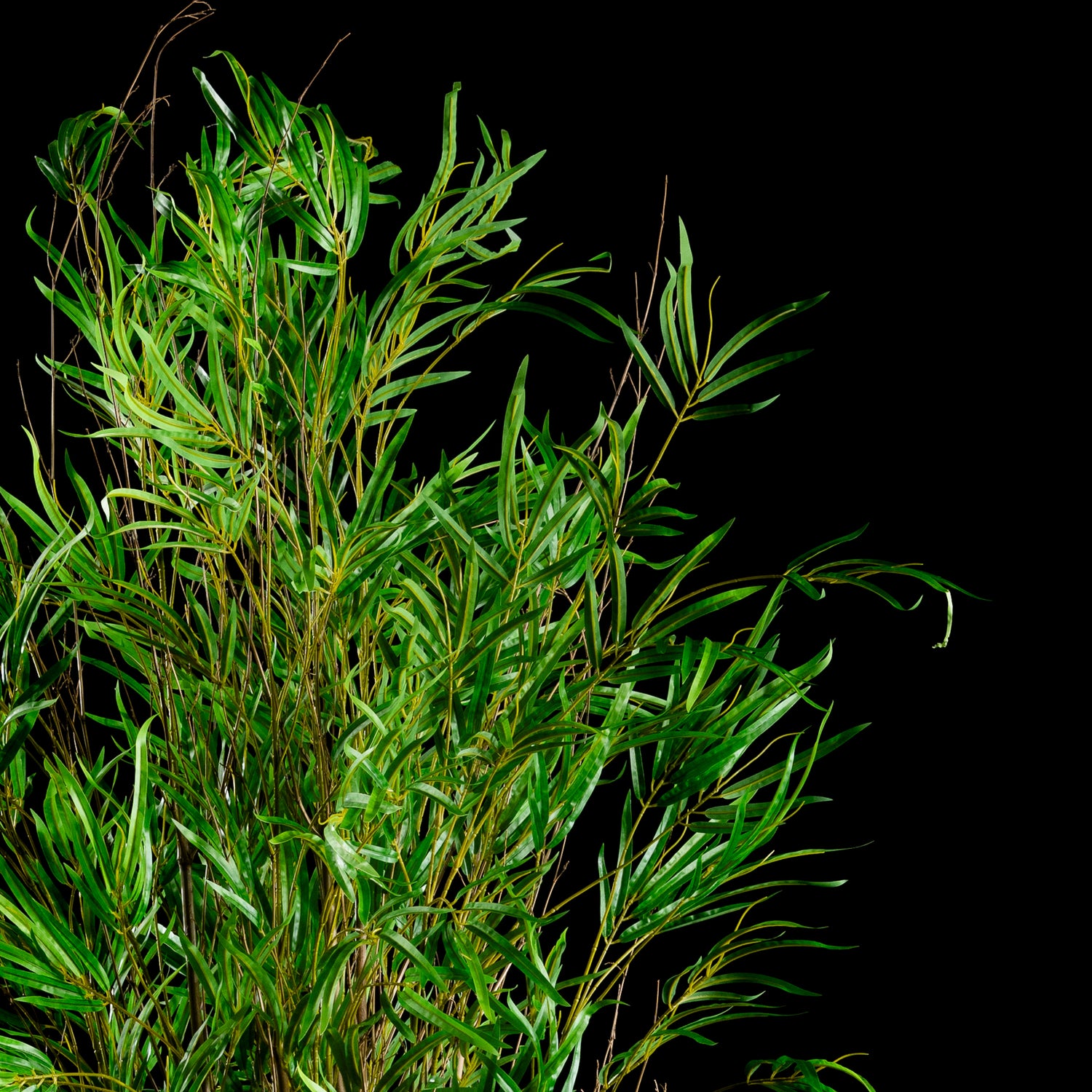Bambou multi troncs — vue rapprochée, gros plan sur feuillage du plante artificielle