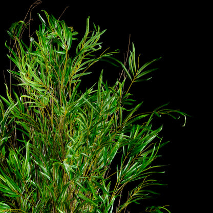 Bambou multi troncs — vue rapprochée, gros plan sur feuillage du plante artificielle