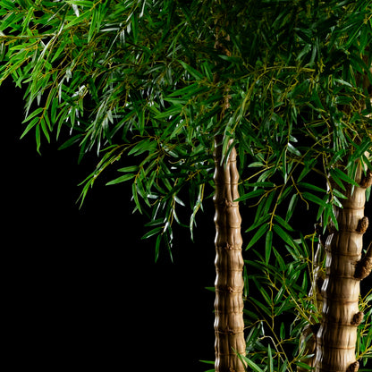 Bambou Verrucosa — vue alternative, plante artificielle plante d&