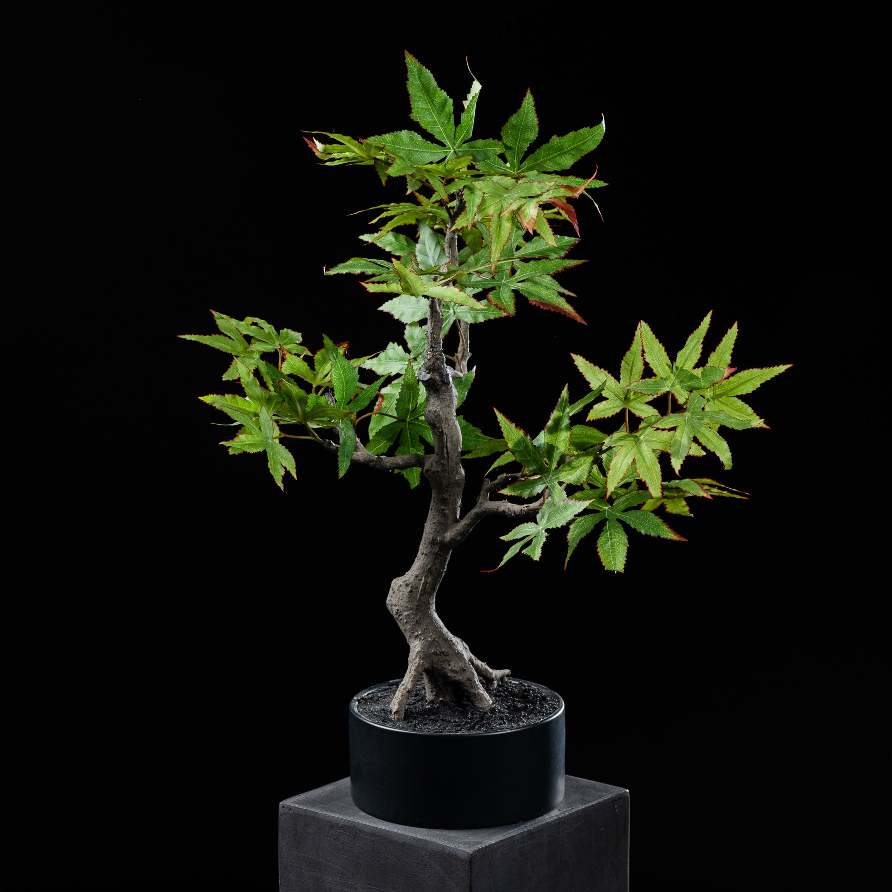 Bonsaï artificiel Erable 50 cm Galan GA — déco intérieur réaliste sans entretien