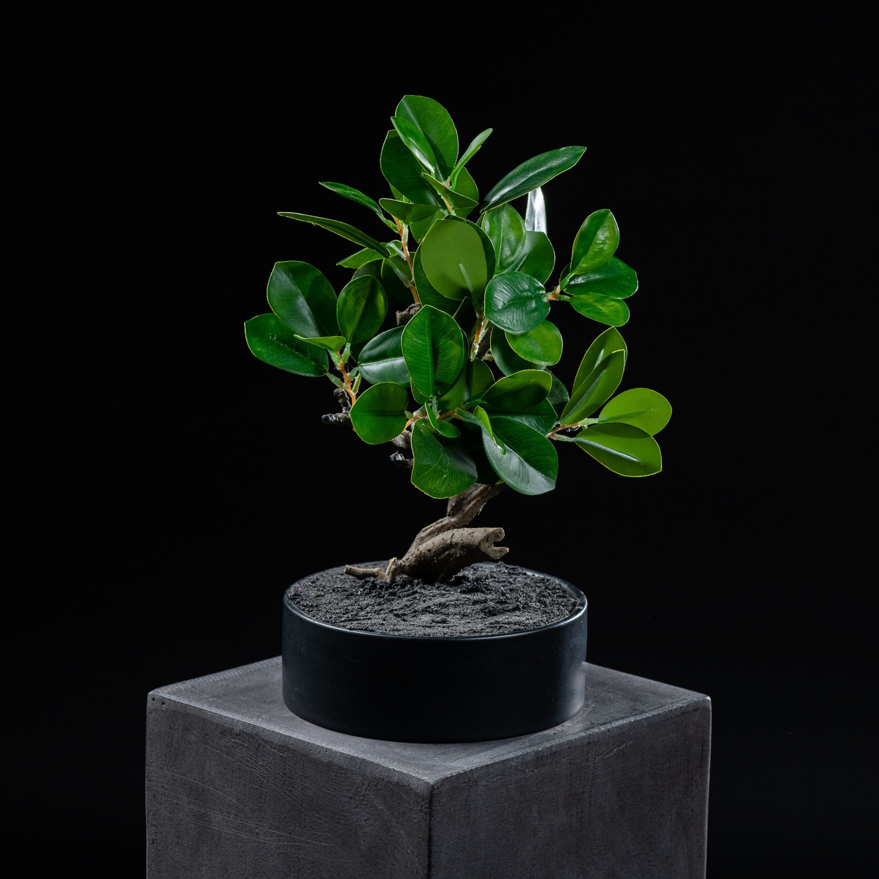 Bonsaï artificiel Ficus 30 cm Galan GA — déco intérieur réaliste sans entretien