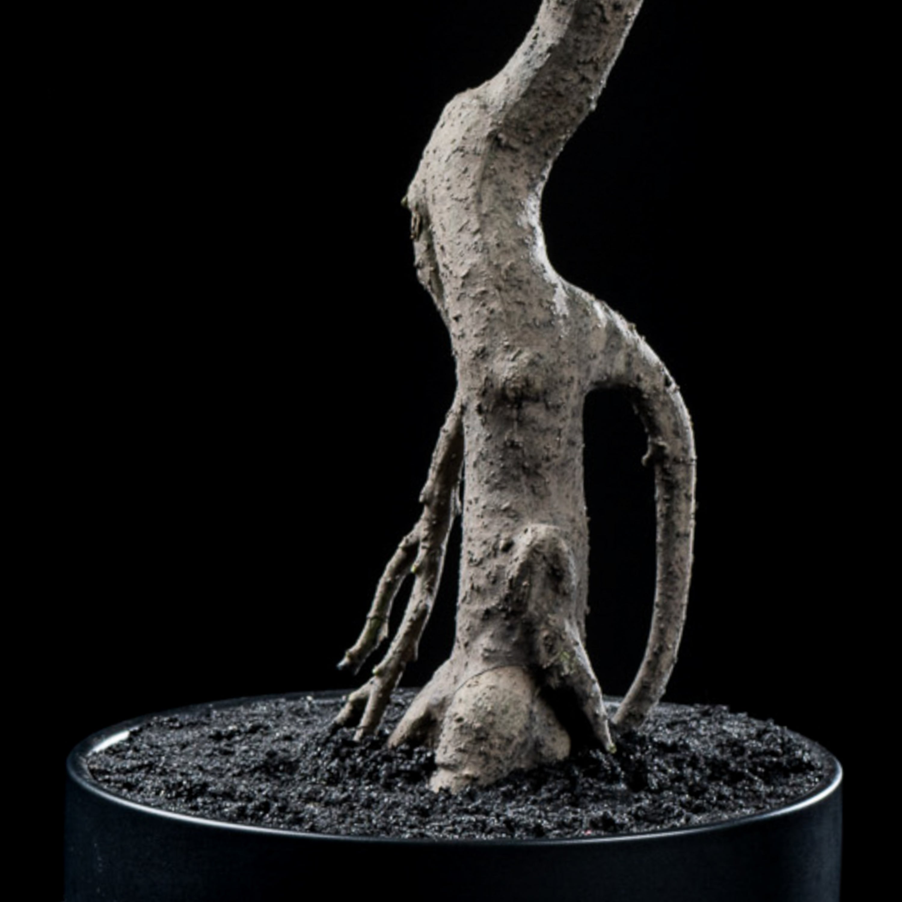 Bonsaï artificiel Japonais Ficus 60 cm — détail feuillage réaliste, sans entretien
