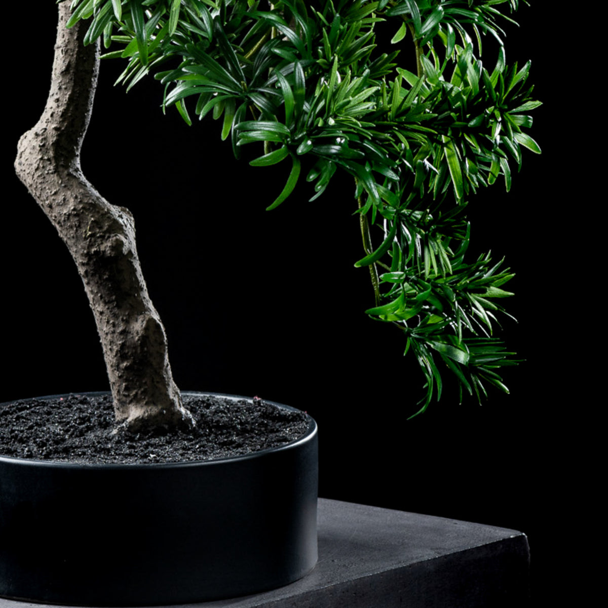 Bonsaï artificiel Podocarpus 66 cm — détail feuillage réaliste, sans entretien