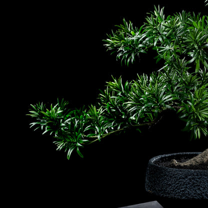 Bonsaï artificiel Podocarpus 65 cm — détail feuillage réaliste, sans entretien