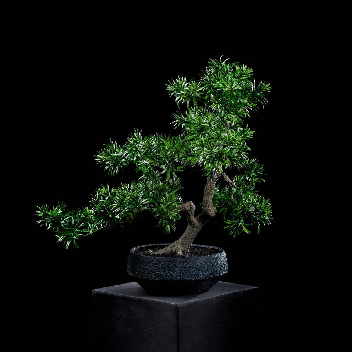 Bonsaï artificiel Podocarpus 65 cm — visuel produit, sans entretien pour intérieur
