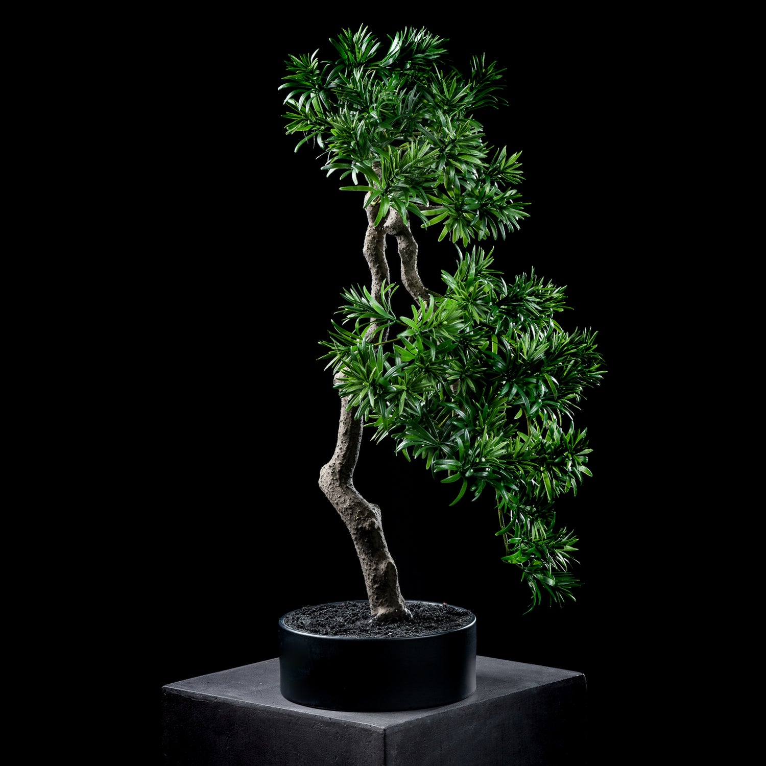 Bonsaï artificiel Podocarpus 66 cm Galan GA — déco intérieur réaliste sans entretien