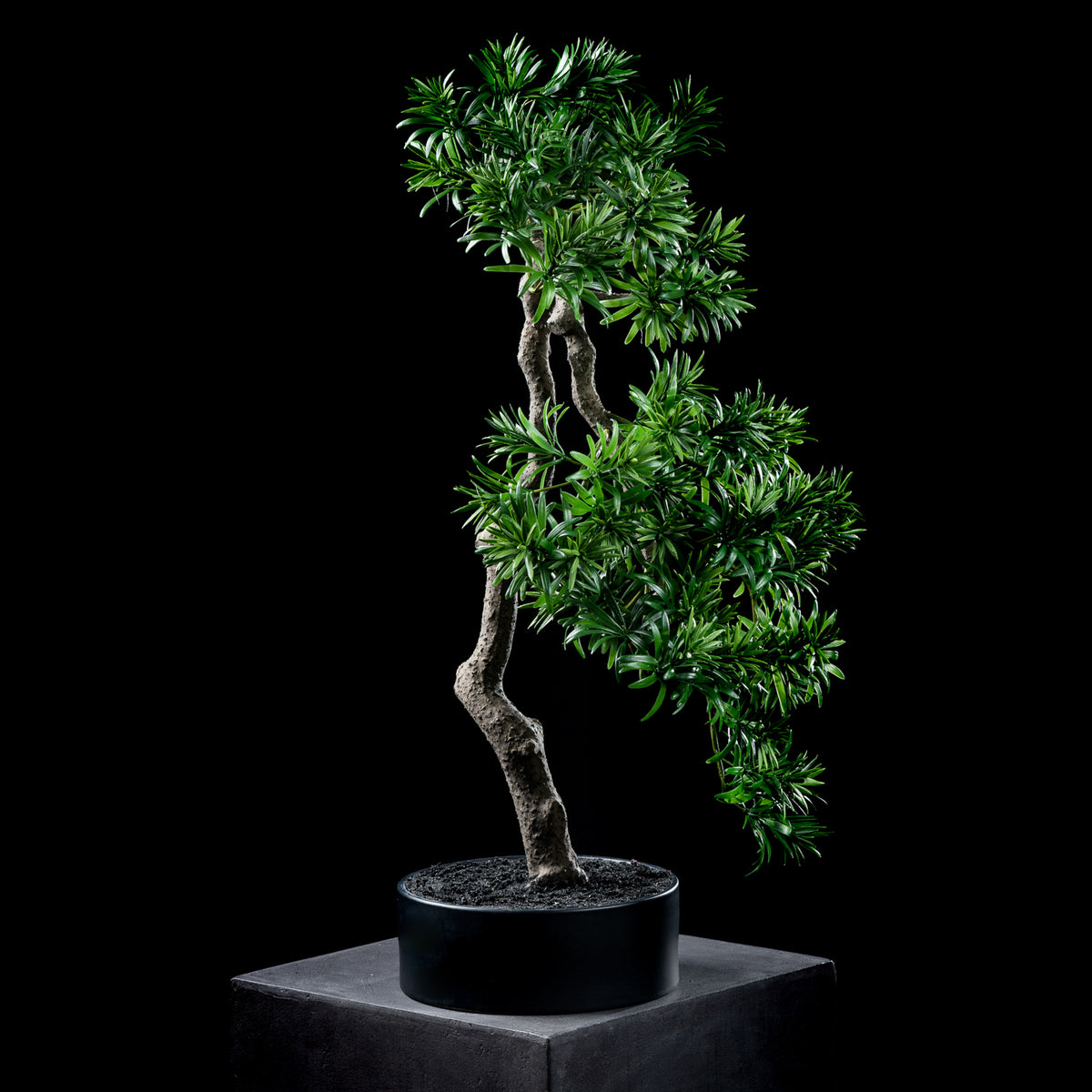 Bonsaï artificiel Podocarpus 66 cm Galan GA — déco intérieur réaliste sans entretien