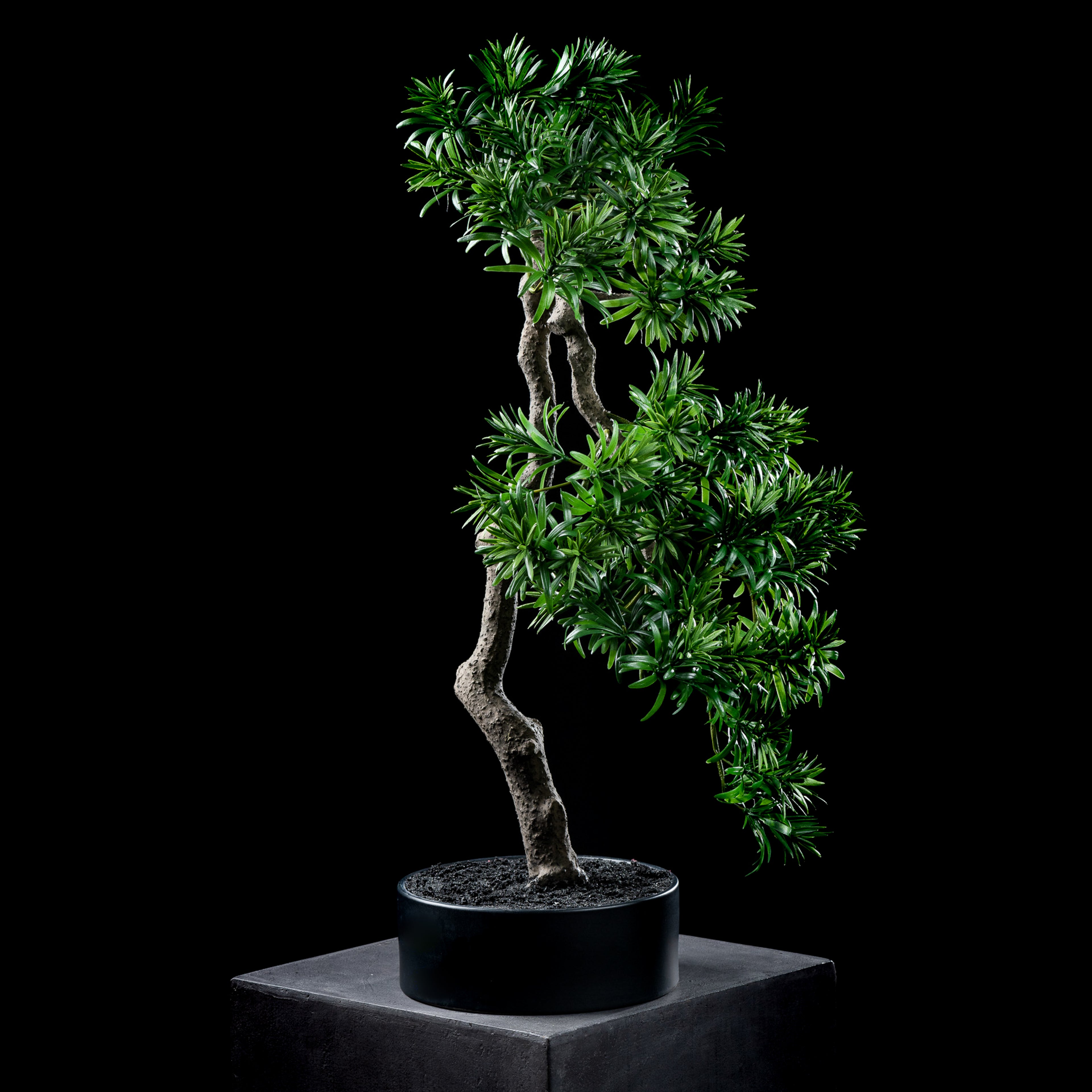 Bonsaï artificiel Podocarpus 66 cm Galan GA — déco intérieur réaliste sans entretien