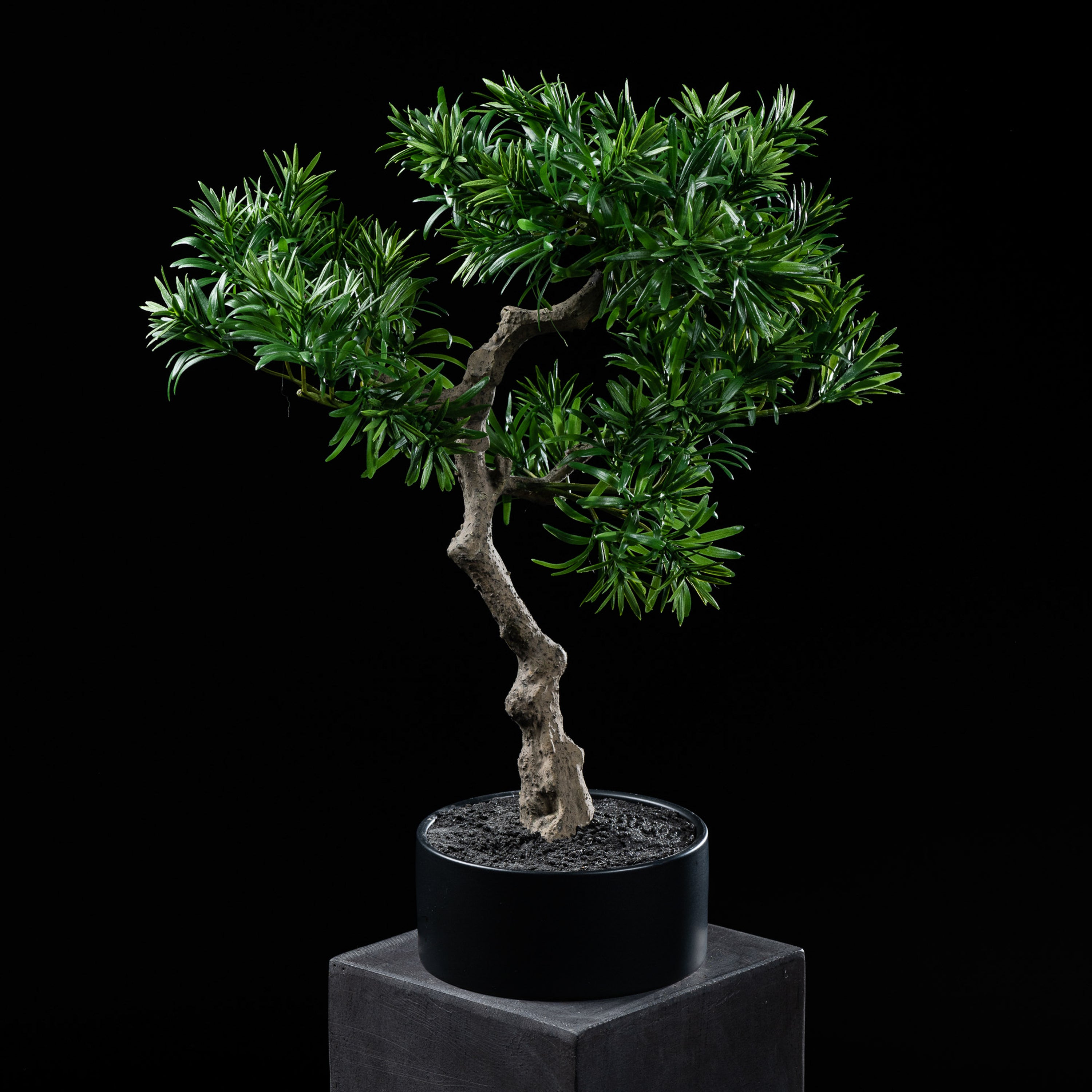 Bonsaï artificiel Podocarpus 50 cm Galan GA — déco intérieur réaliste sans entretien