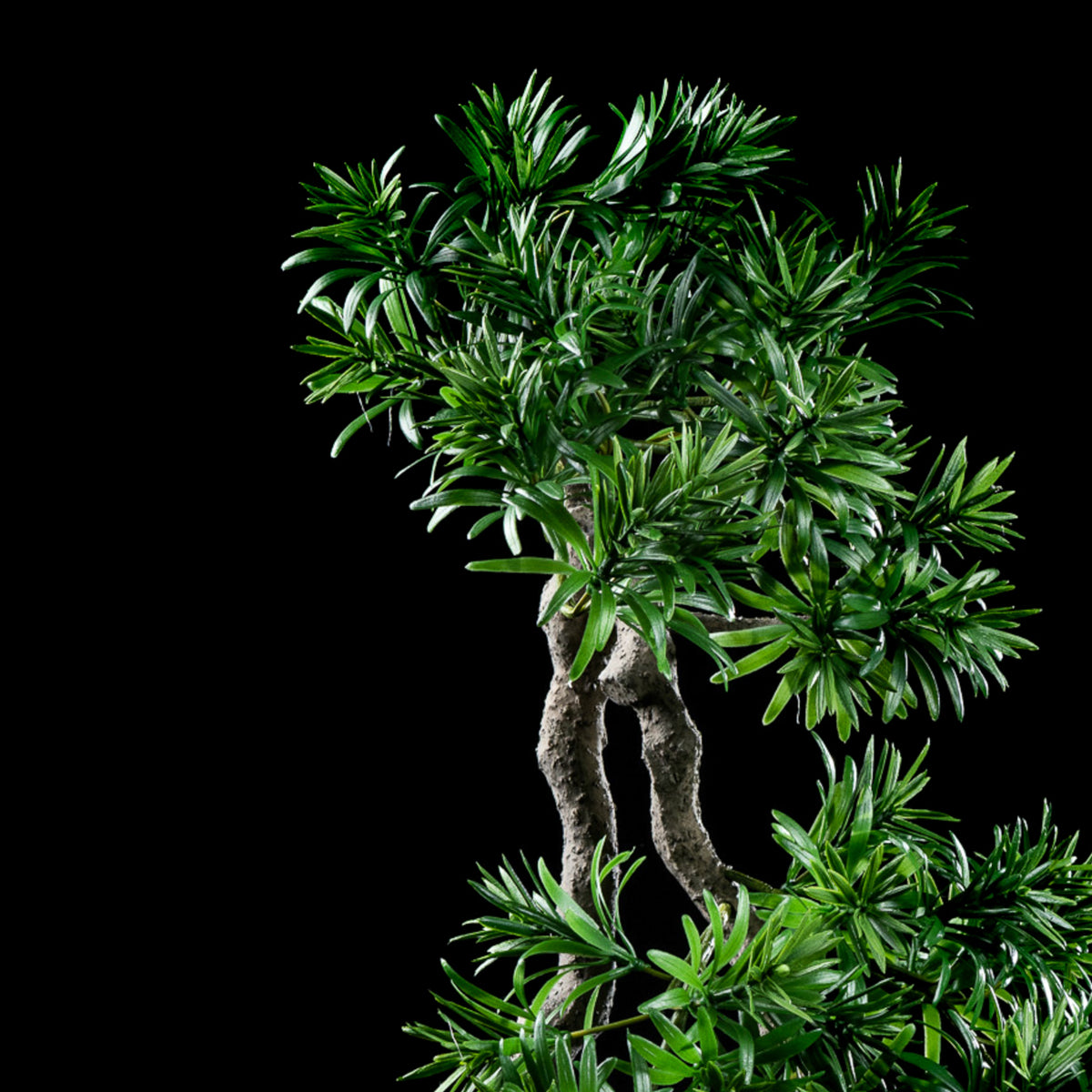 Bonsaï artificiel Podocarpus 66 cm — gros plan, qualité premium réaliste