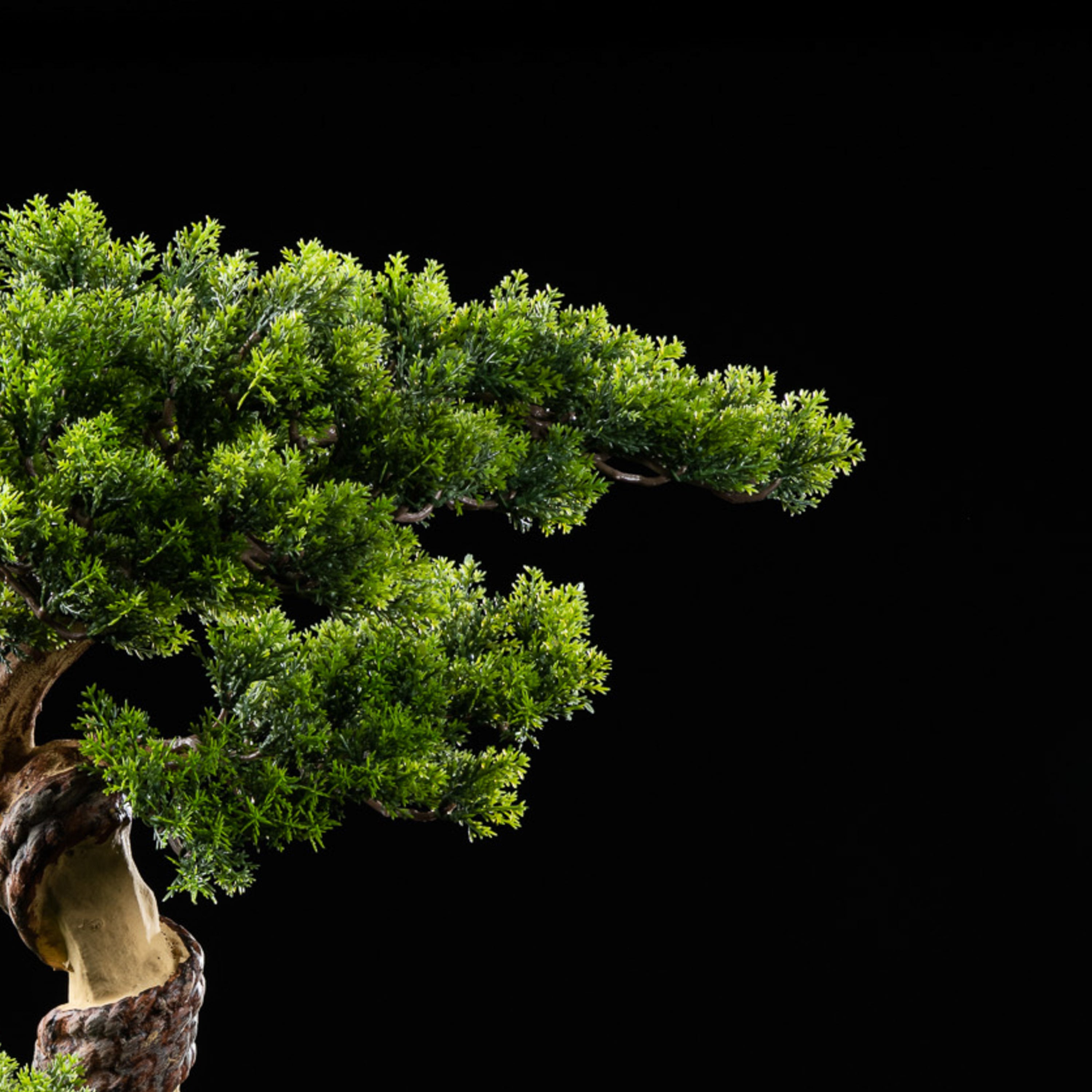 Bonsaï artificiel Thuya 70 cm Galan GA — déco intérieur réaliste sans entretien