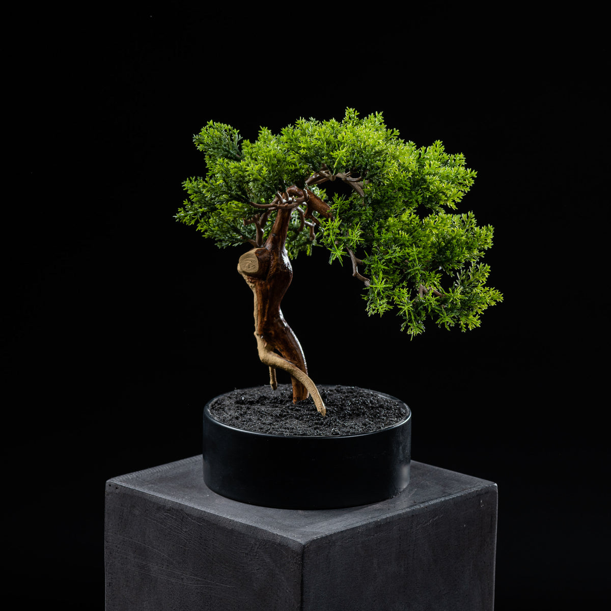 Bonsaï artificiel Thuya 30 cm Galan GA — déco intérieur réaliste sans entretien