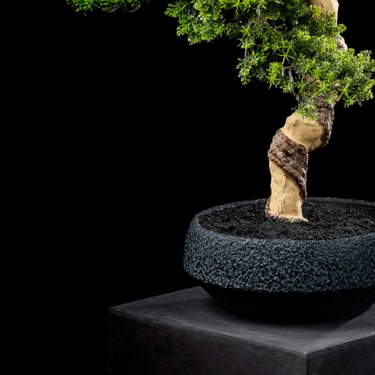 Bonsaï artificiel Thuya 90 cm — gros plan, qualité premium réaliste