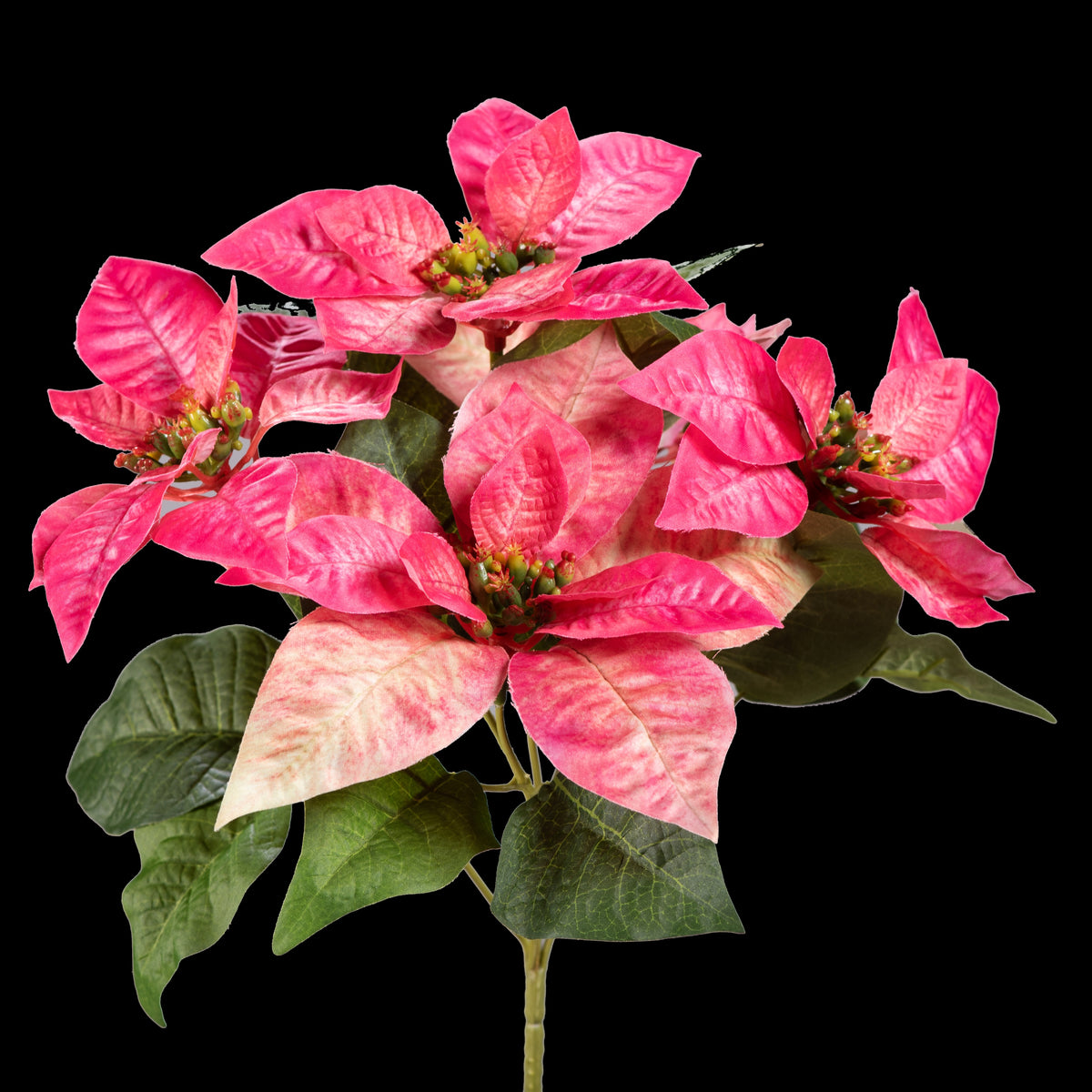 Bouquet d’étoiles de Noël artificielles rose et crème 32 cm, vue d’ensemble des 5 fleurs