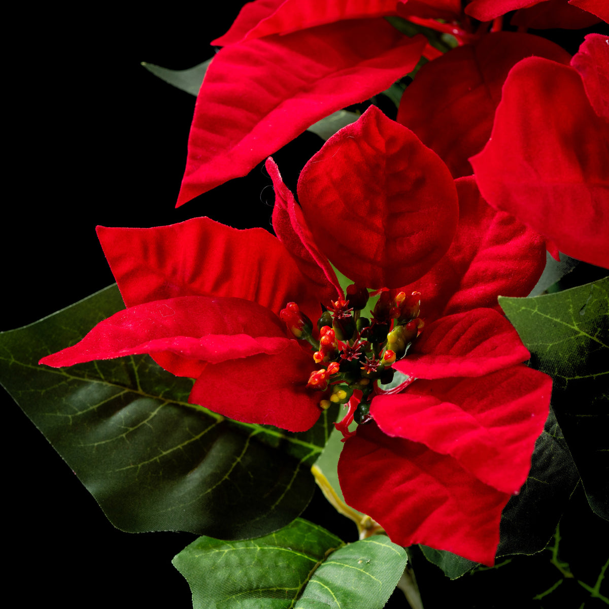 Bouquet d’étoiles de Noël artificielles rouges 52 cm, détail d’une fleur rouge veloutée