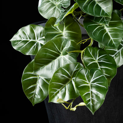 Feuillage retombant artificiel Alocasia 22 cm Galan GA — détail feuillage réaliste, sans entretien