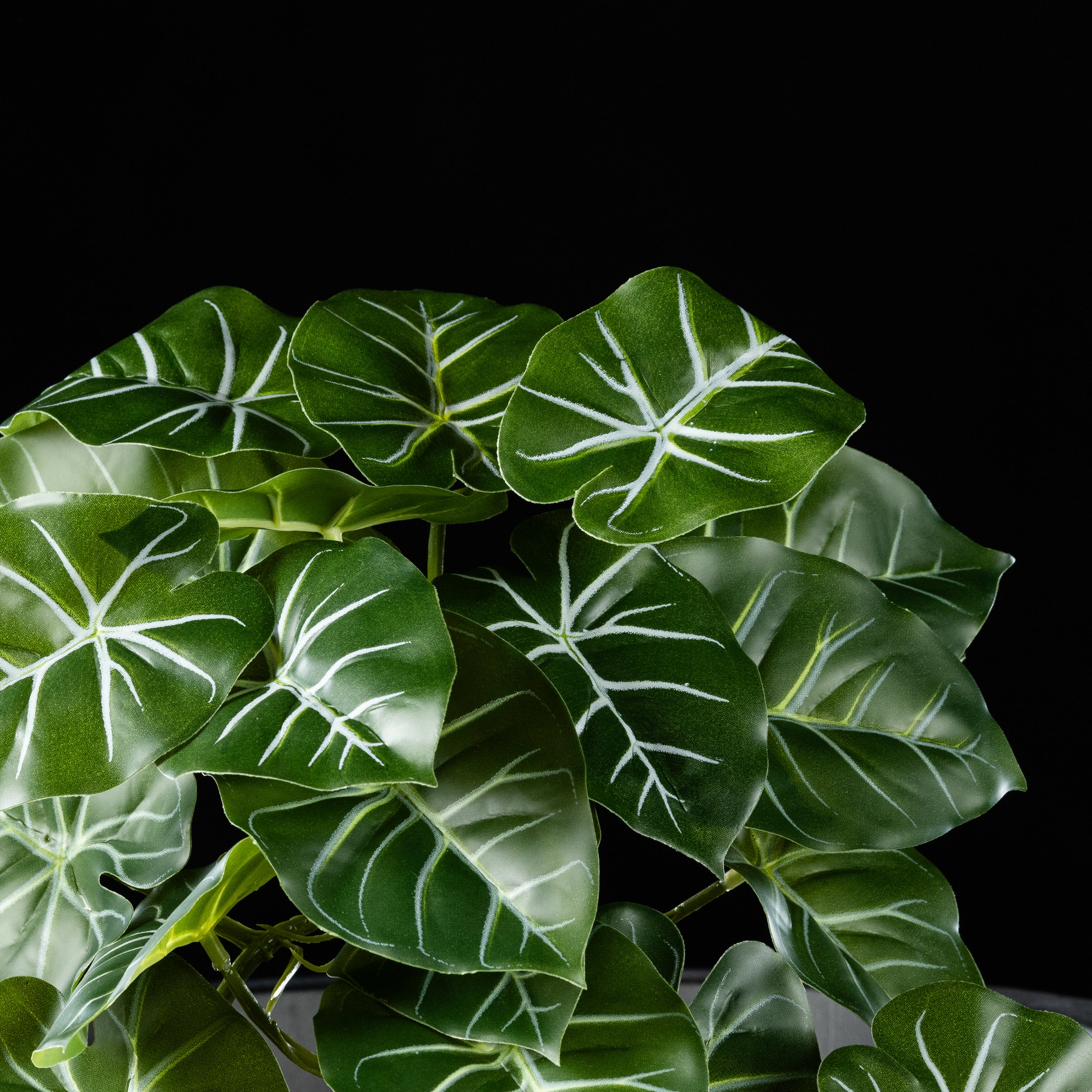 Feuillage retombant artificiel Alocasia 22 cm Galan GA — gros plan, qualité premium réaliste