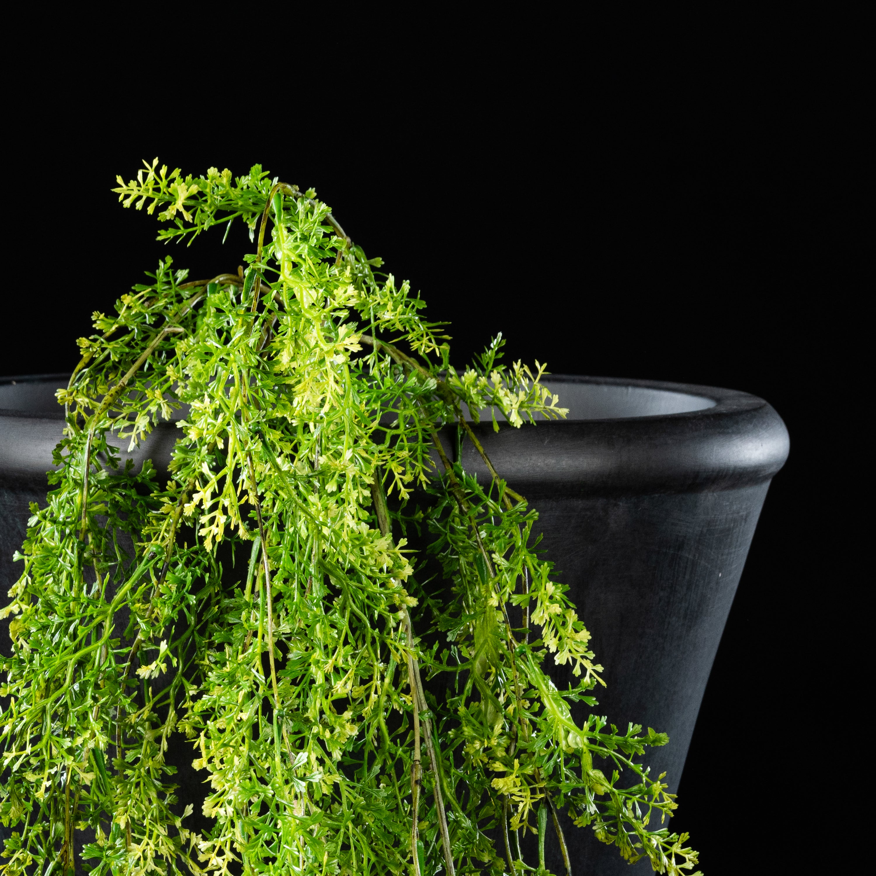 Feuillage retombant artificiel Asparagus 84 cm Galan GA — gros plan, qualité premium réaliste