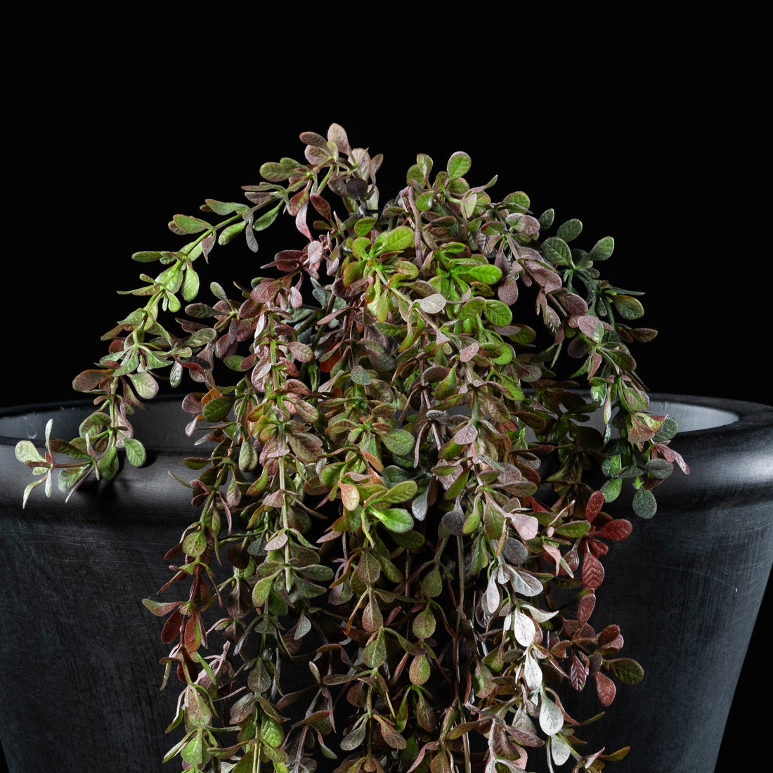 Feuillage retombant artificiel Buxus 85 cm Galan GA — gros plan, qualité premium réaliste