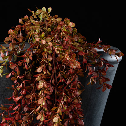 Feuillage retombant artificiel Buxus 85 cm Galan GA — gros plan, qualité premium réaliste