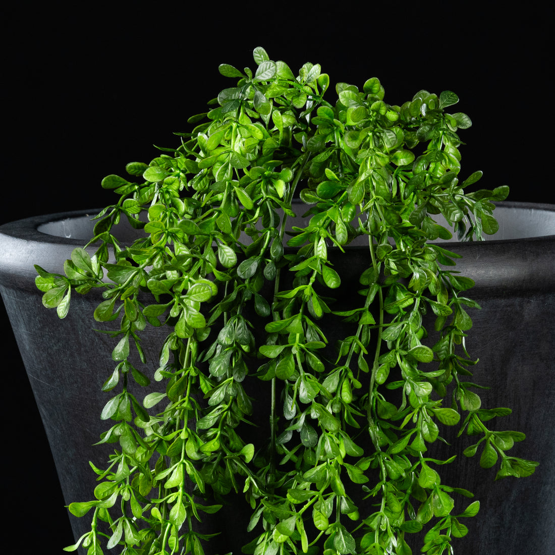 Feuillage retombant artificiel Buxus 85 cm Galan GA — gros plan, qualité premium réaliste