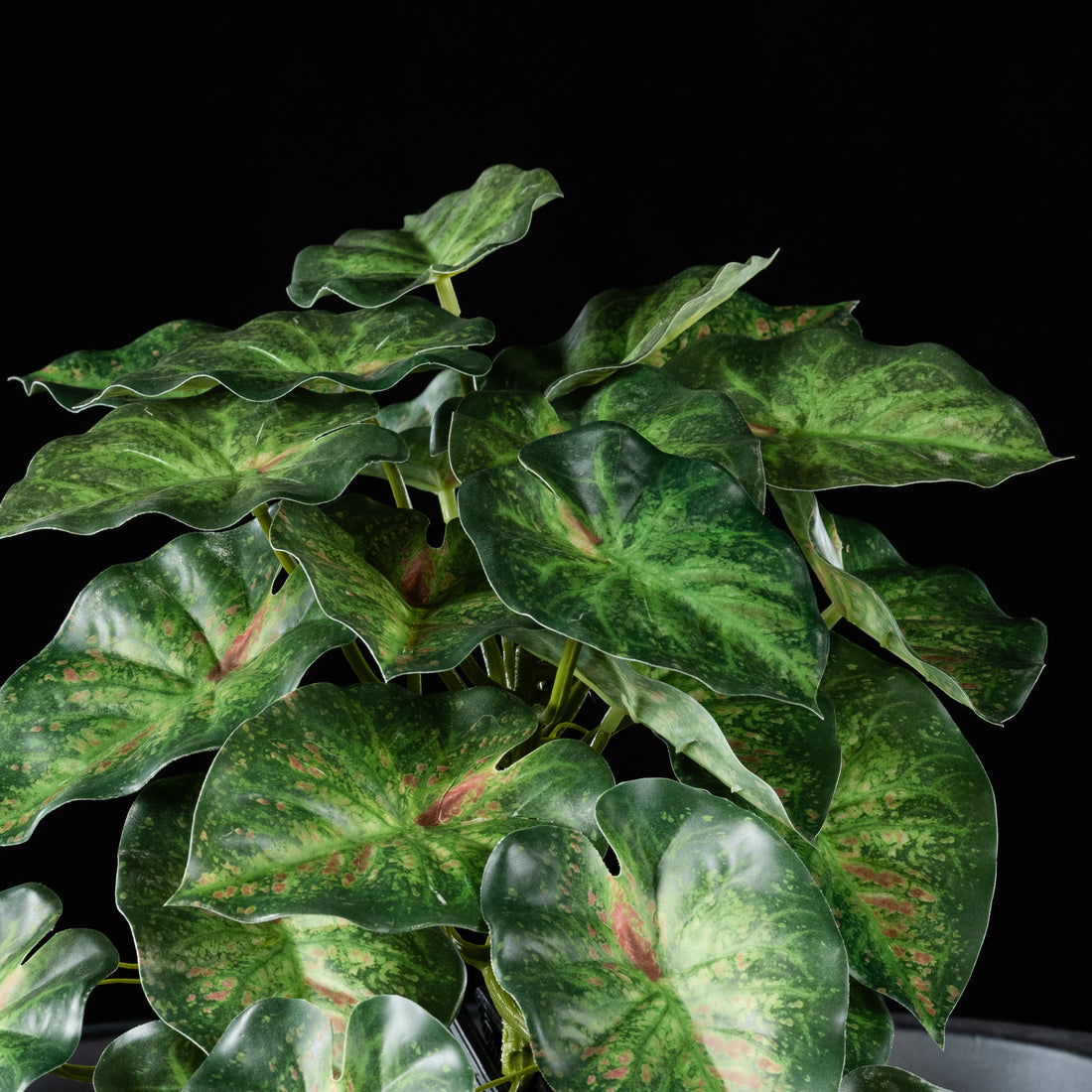 Feuillage retombant artificiel Caladium 22 cm Galan GA — gros plan, qualité premium réaliste