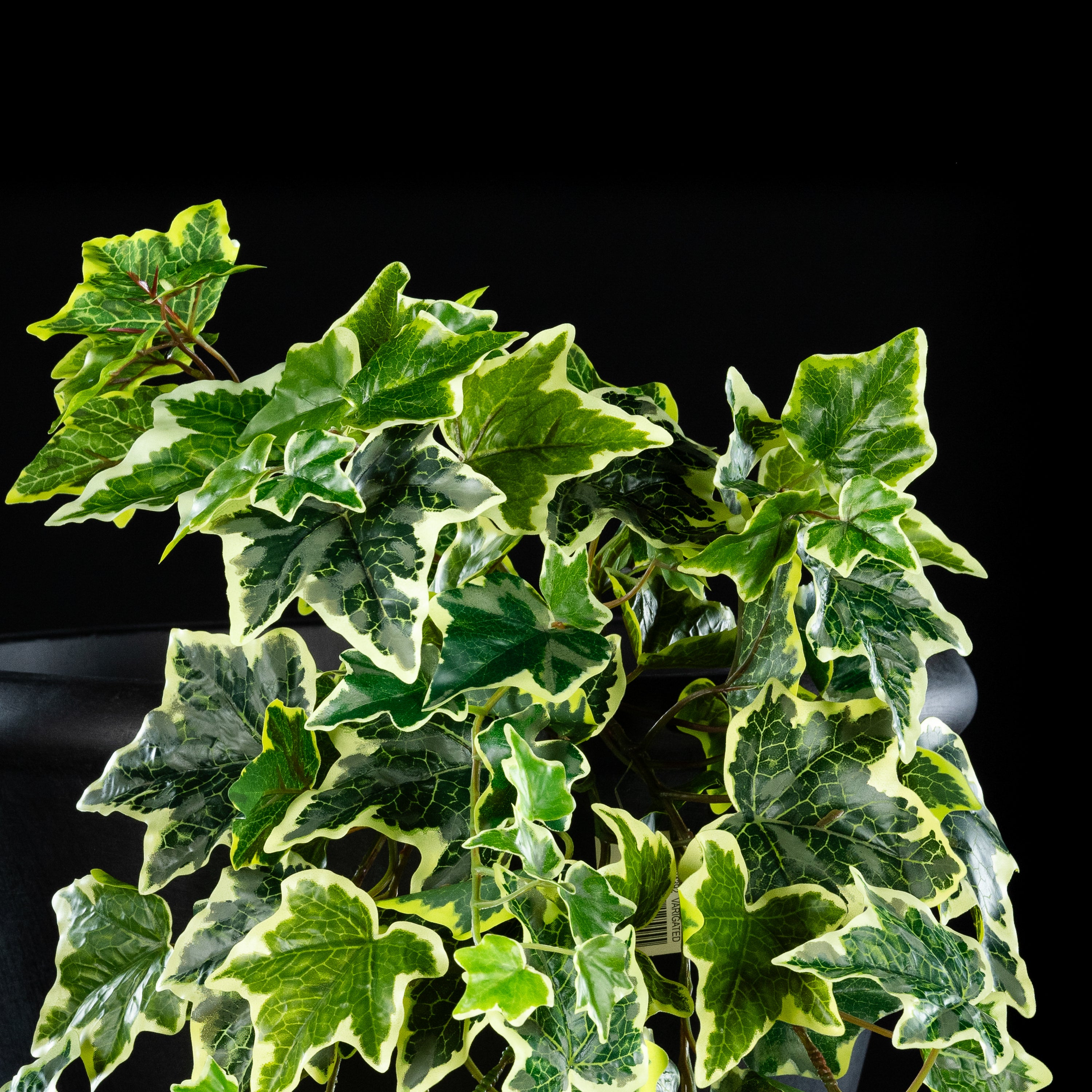 Feuillage retombant artificiel Hedera 60 cm Galan GA — détail feuillage réaliste, sans entretien