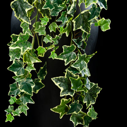 Feuillage retombant artificiel Hedera 130 cm Galan GA — détail feuillage réaliste, sans entretien