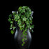 Feuillage retombant artificiel Hedera 60 cm Galan GA — visuel produit, sans entretien pour intérieur