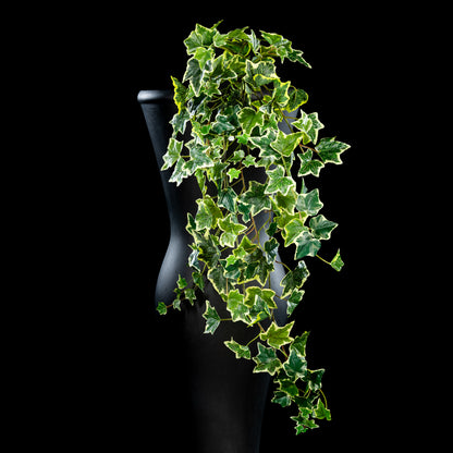 Feuillage retombant artificiel Hedera 100 cm Galan GA — visuel produit, sans entretien pour intérieur