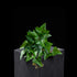 Feuillage retombant artificiel Hedera 18 cm Galan GA — visuel produit, sans entretien pour intérieur