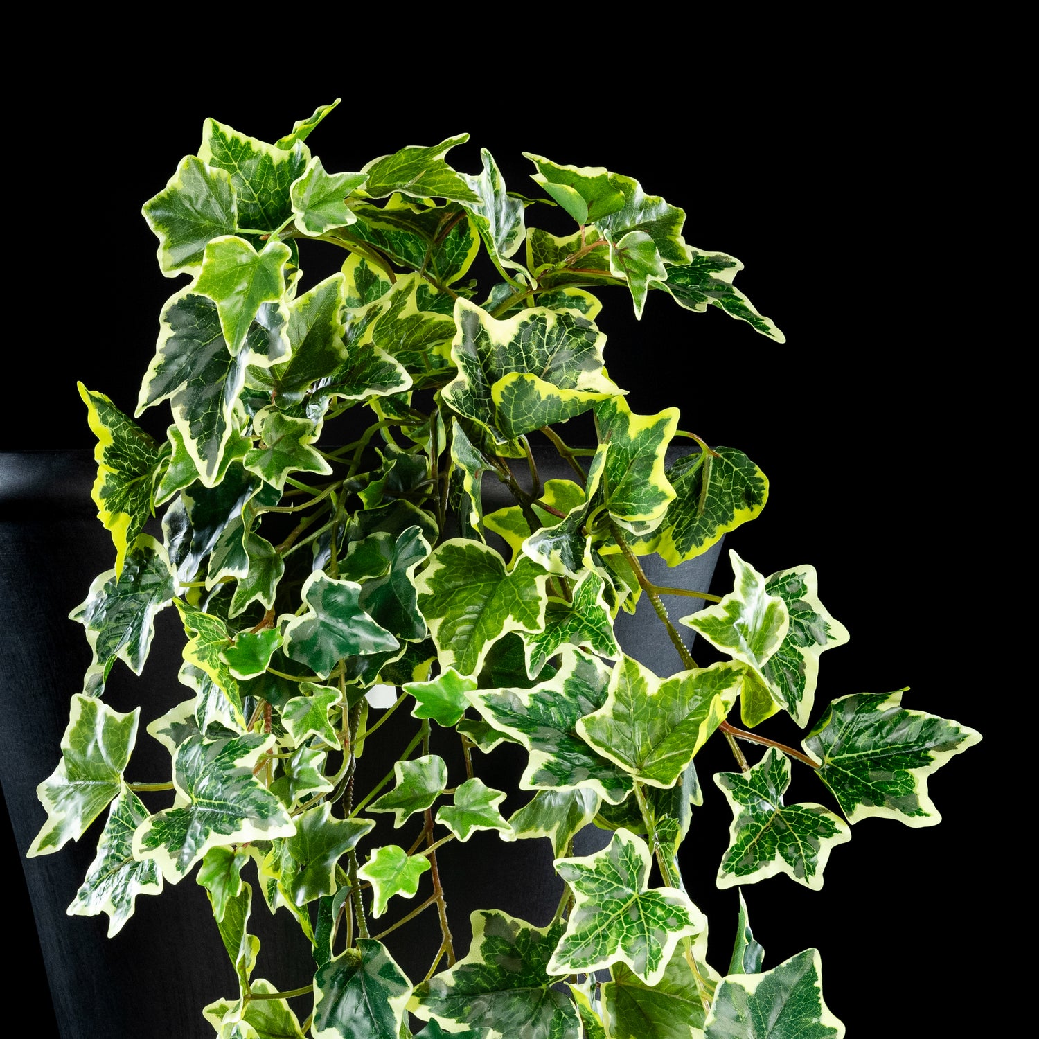Feuillage retombant artificiel Hedera 100 cm Galan GA — gros plan, qualité premium réaliste