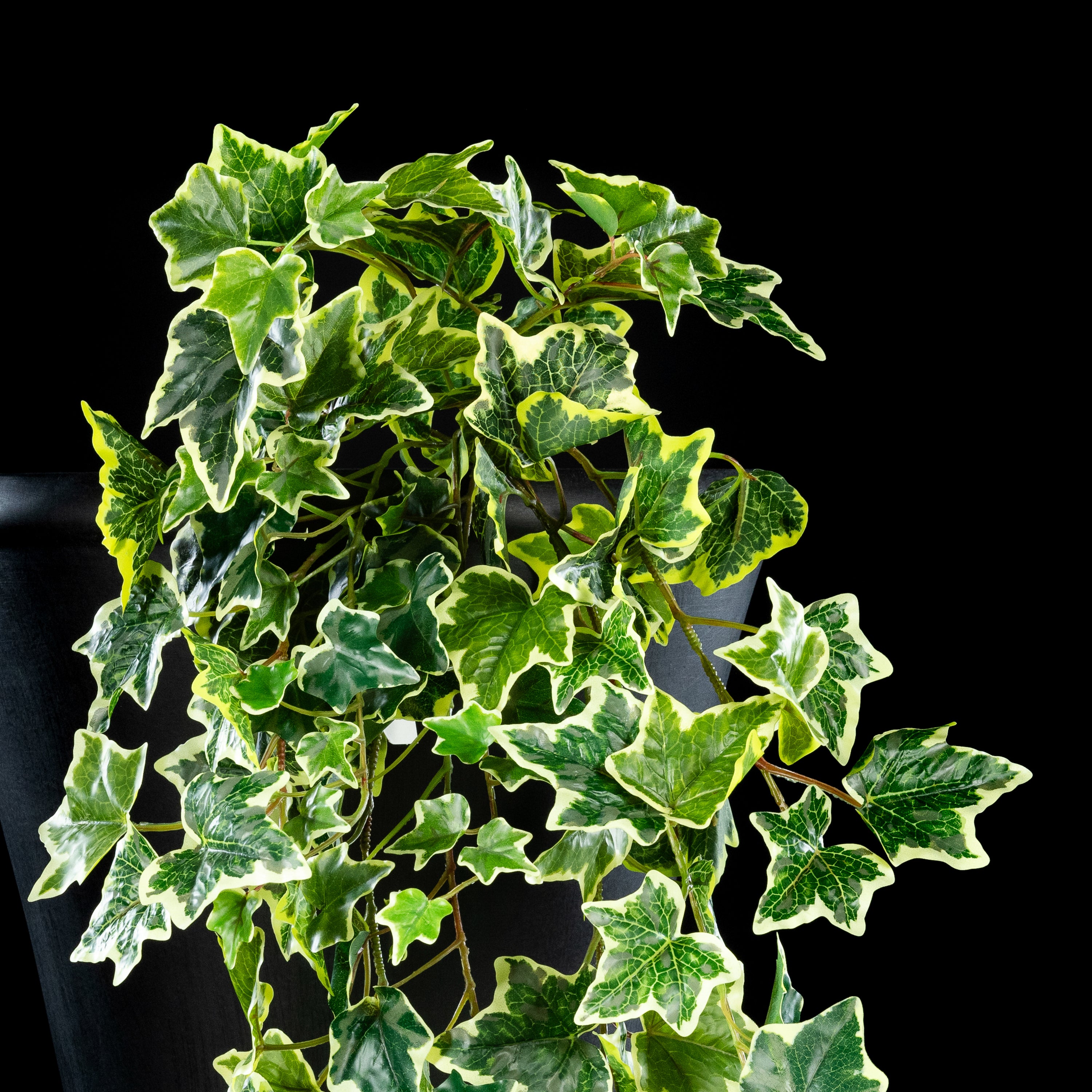 Feuillage retombant artificiel Hedera 100 cm Galan GA — gros plan, qualité premium réaliste