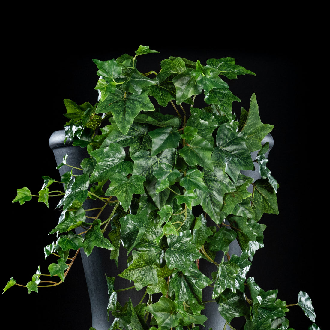 Feuillage retombant artificiel Hedera 230 cm Galan GA — gros plan, qualité premium réaliste