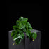 Feuillage retombant artificiel Philodendron 18 cm Galan GA — visuel produit, sans entretien pour intérieur