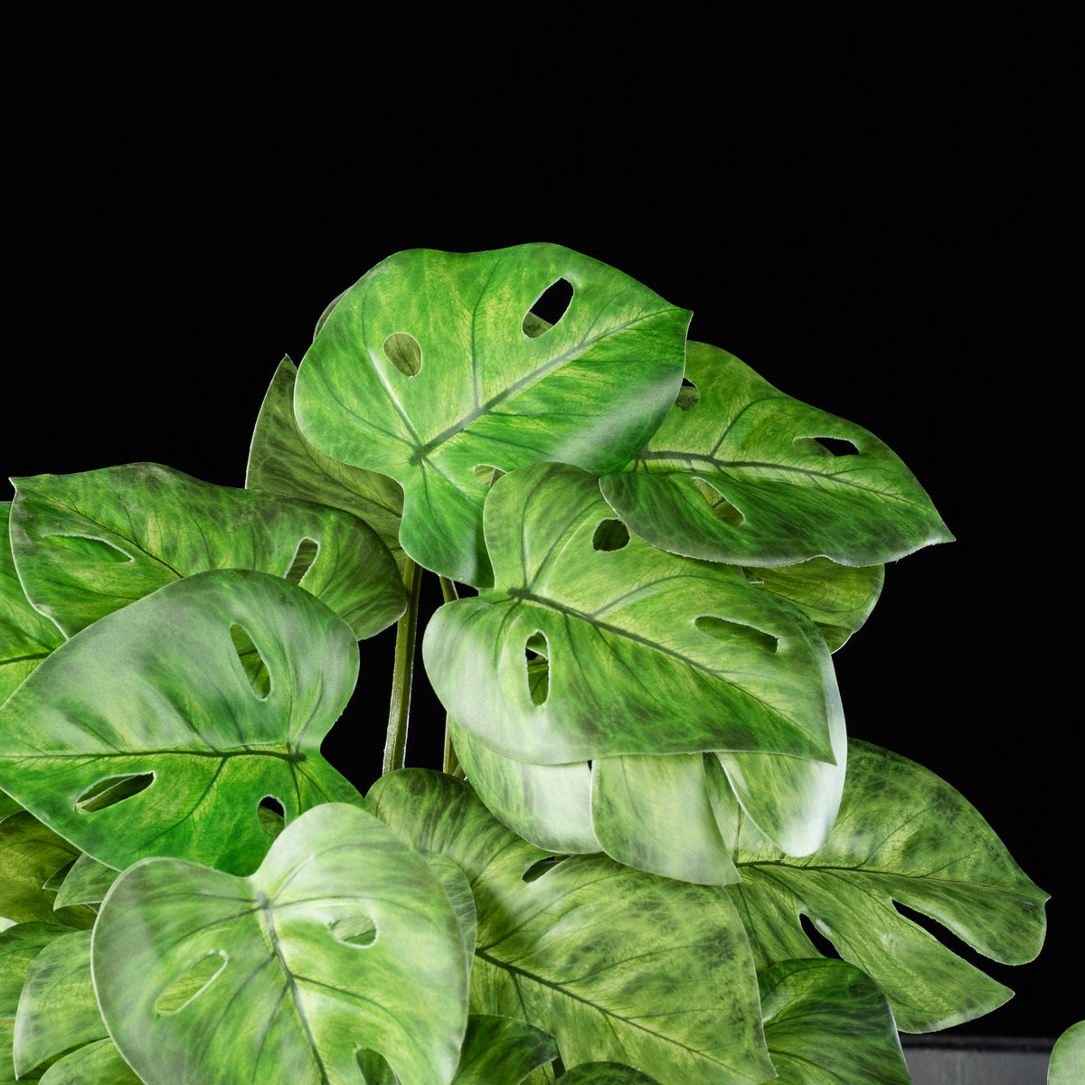 Feuillage retombant artificiel Philodendron 22 cm Galan GA — gros plan, qualité premium réaliste