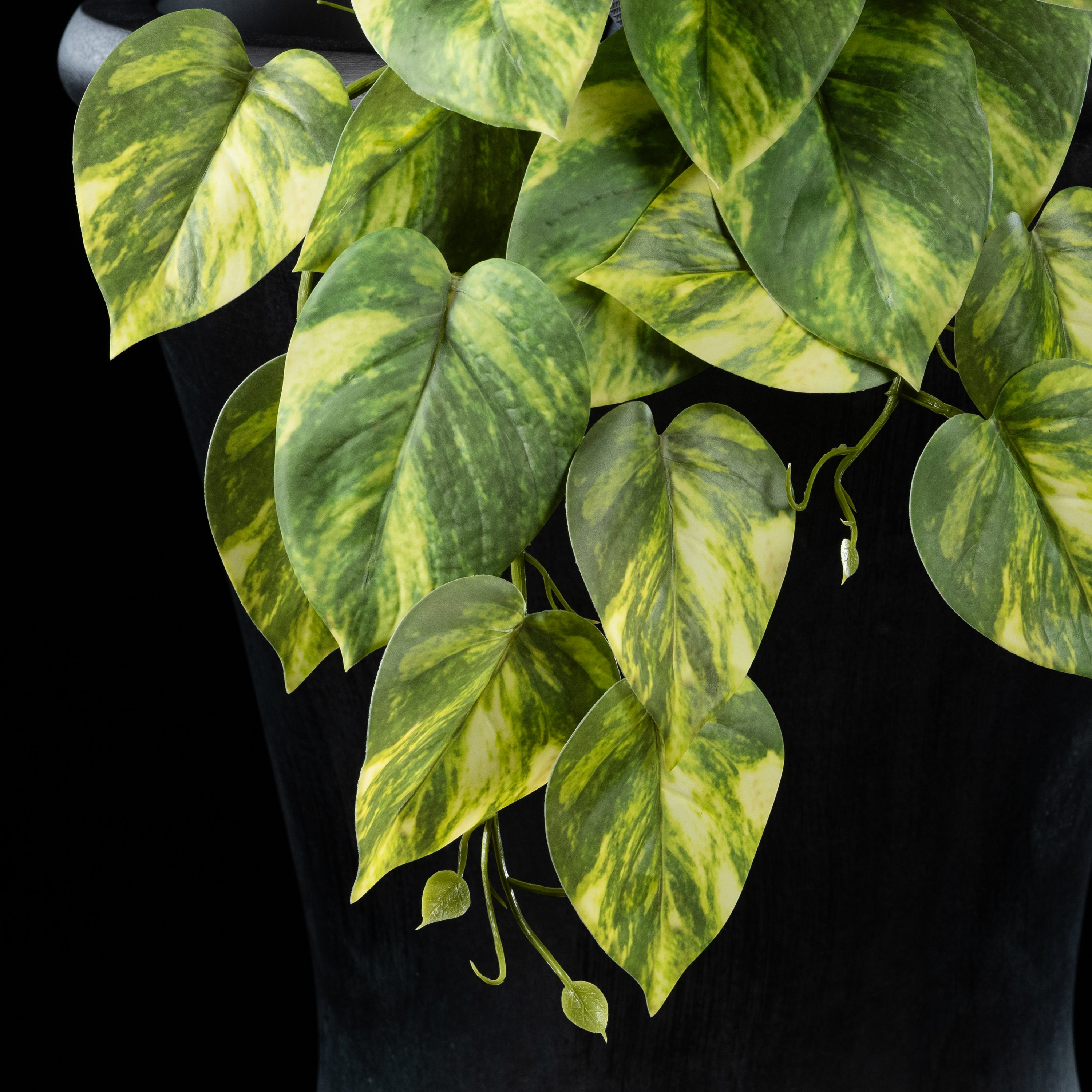Feuillage retombant artificiel Pothos 22 cm Galan GA — détail feuillage réaliste, sans entretien