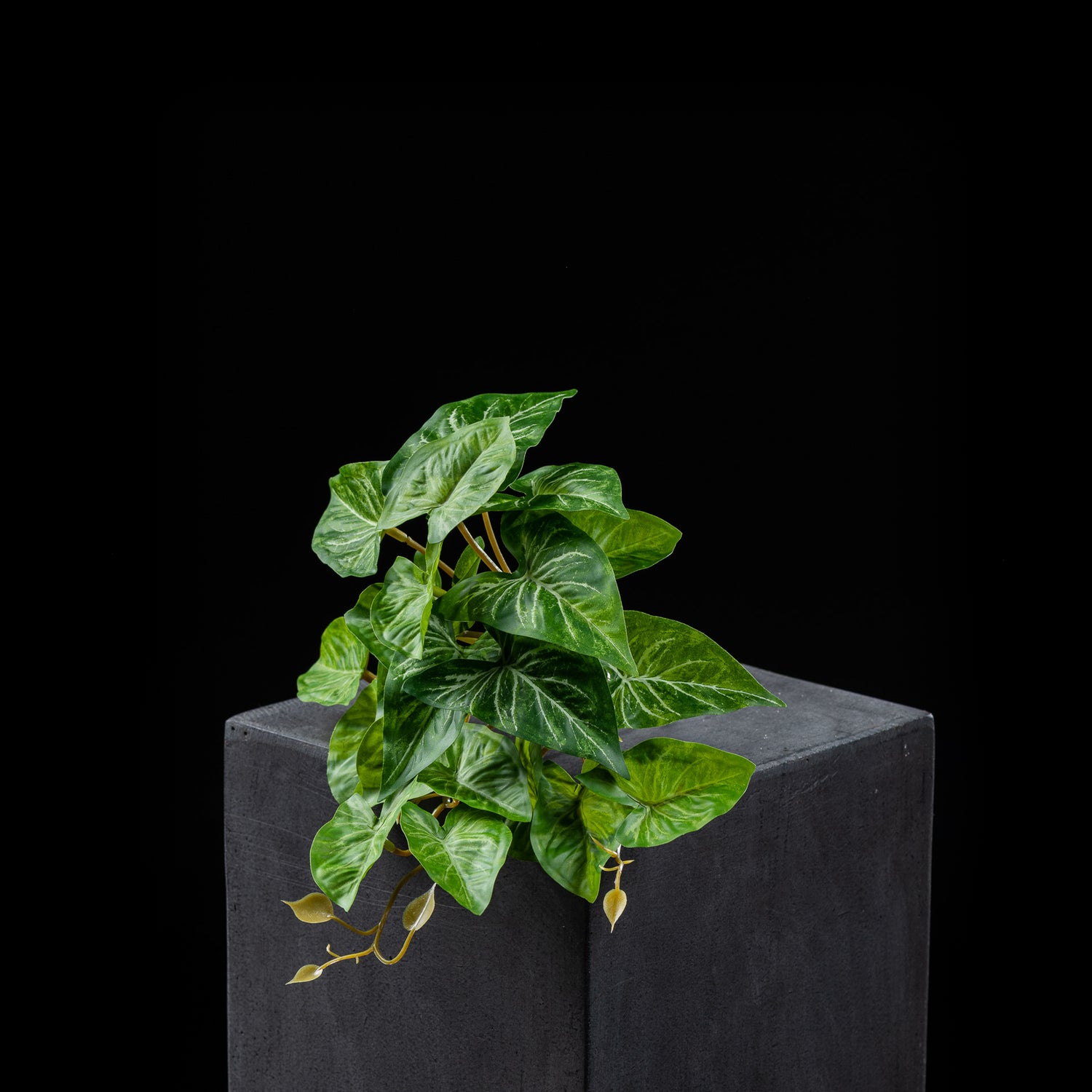 Feuillage retombant artificiel Syngonium 18 cm Galan GA — visuel produit, sans entretien pour intérieur