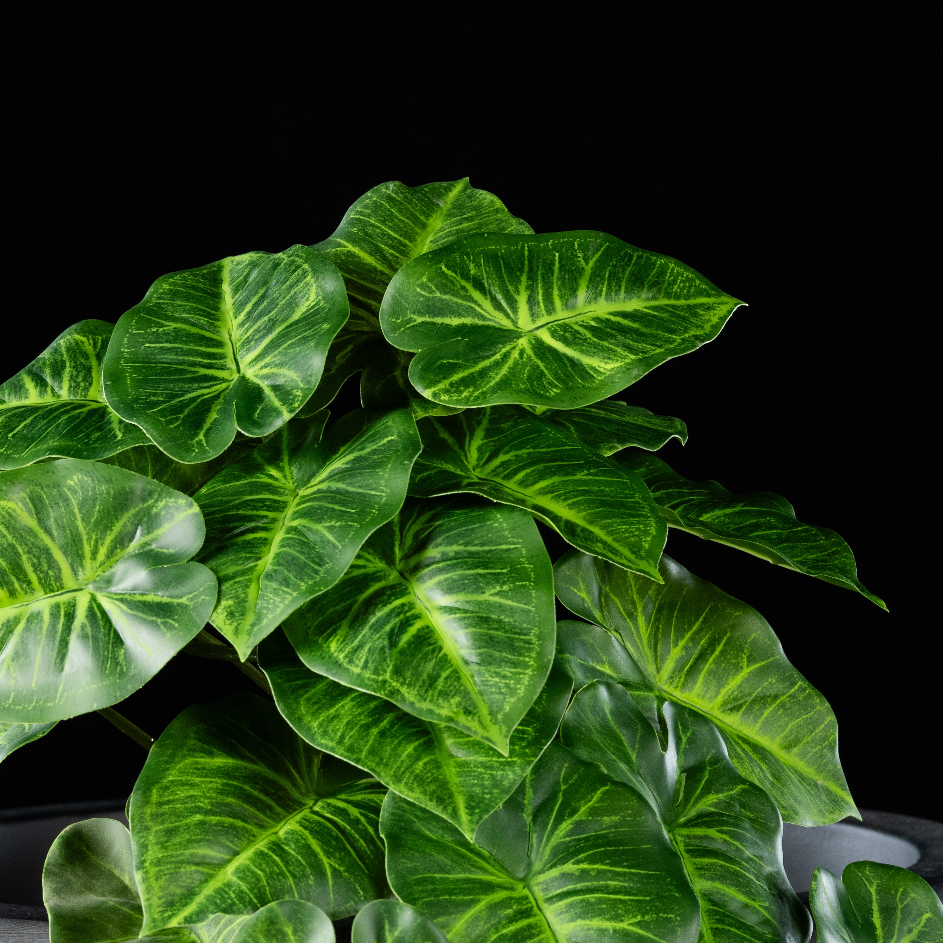 Feuillage retombant artificiel Syngonium 22 cm Galan GA — gros plan, qualité premium réaliste