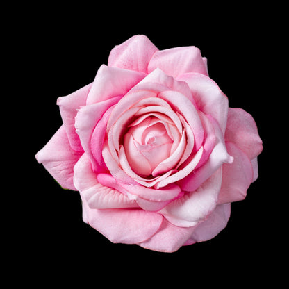 Clip de rose artificielle en velours rose 5 cm, fleur ouverte vue de face
